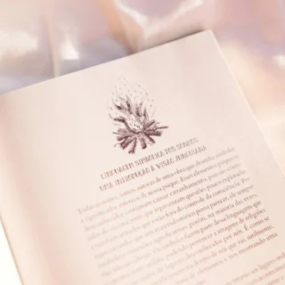sonhário mandala lunar